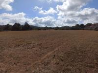 21000m2 plot with old ruin Son Proenç Felanitx