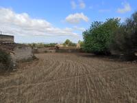 21000m2 plot with old ruin Son Proenç Felanitx