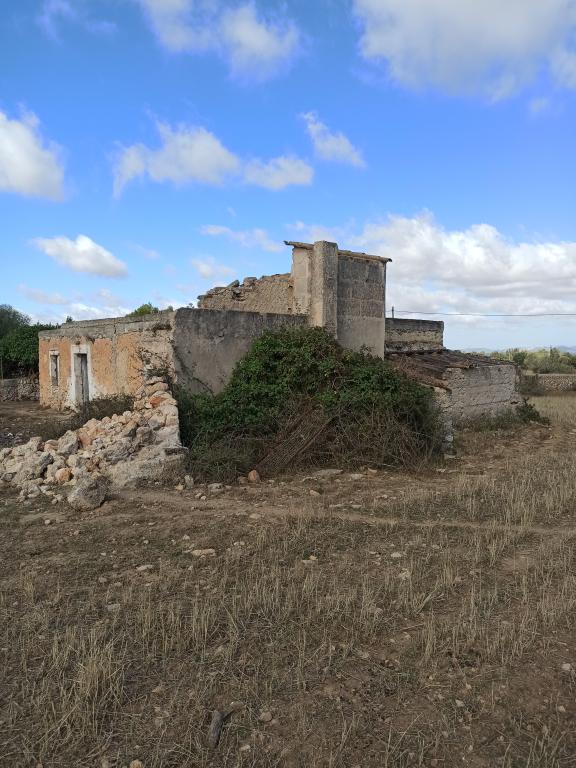 21000m2 plot with old ruin Son Proenç Felanitx