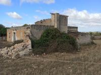 21000m2 plot with old ruin Son Proenç Felanitx