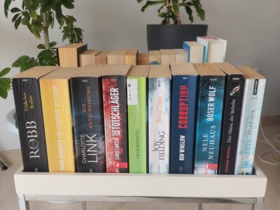 22 Libros Novelas/Thrillers/Cuentos
