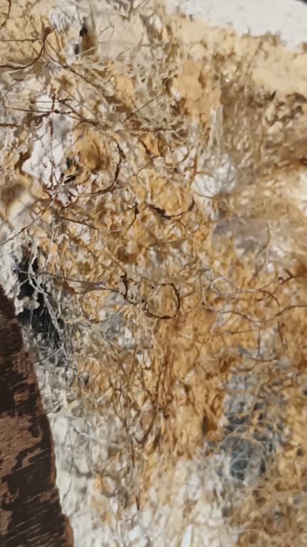 Imagen acrílica con materiales naturales