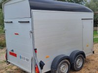 Trailer / Container RENTAL
