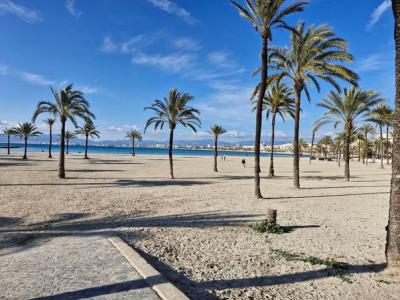 Arenal, amplio apartamento con vista al mar