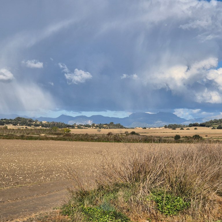 Building plot for sale zona Montuiri