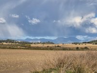 Building plot for sale zona Montuiri