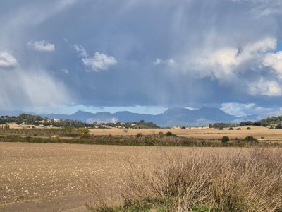 Building plot for sale zona Montuiri