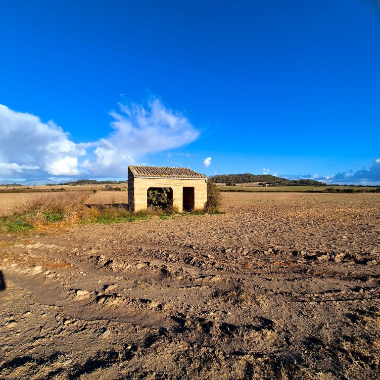 Building plot for sale zona Montuiri