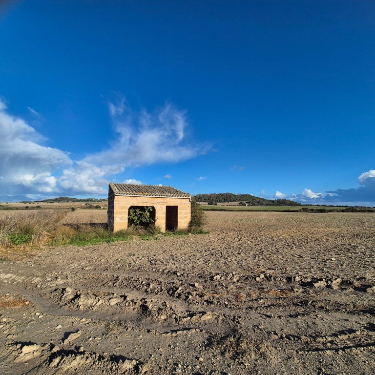 Building plot for sale zona Montuiri