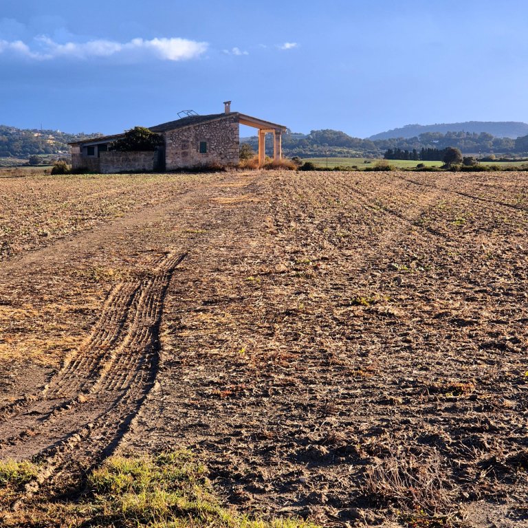 Building plot for sale zona Montuiri