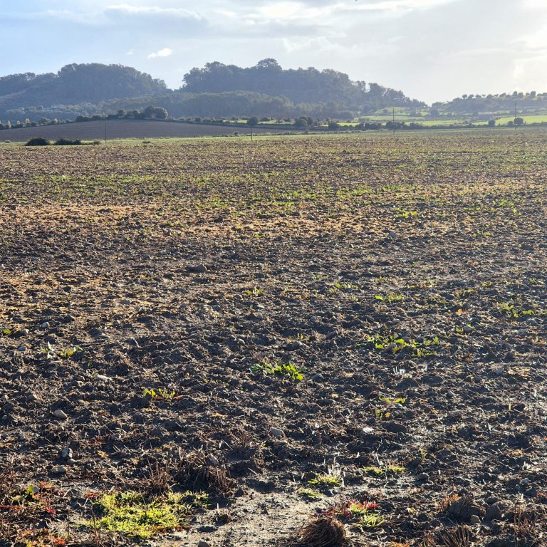 Building plot for sale zona Montuiri