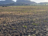 Building plot for sale zona Montuiri