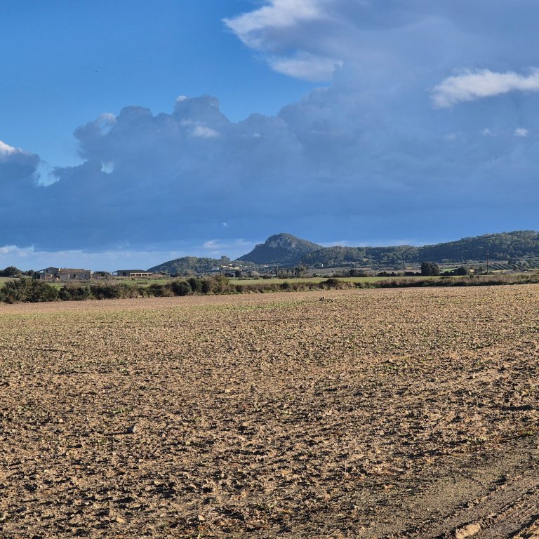 Building plot for sale zona Montuiri