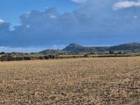 Building plot for sale zona Montuiri