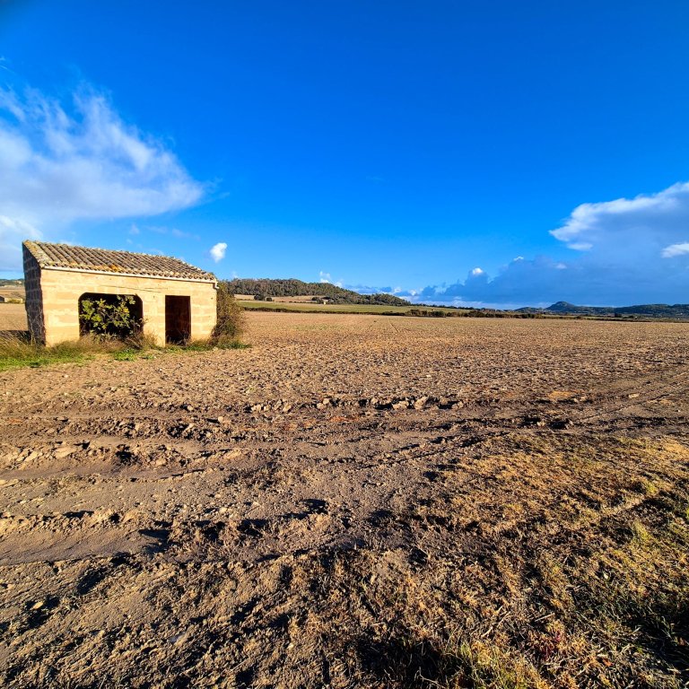 Building plot for sale zona Montuiri