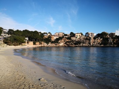 German retiree seeking apartment in the greater Porto Cristo area IMMEDIATELY