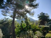 Directamente del propietario - Un sueño a los pies de Sant Salvador – La finca con vistas al mar