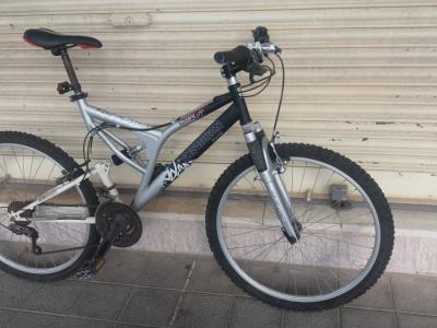 Double Mountain Bike