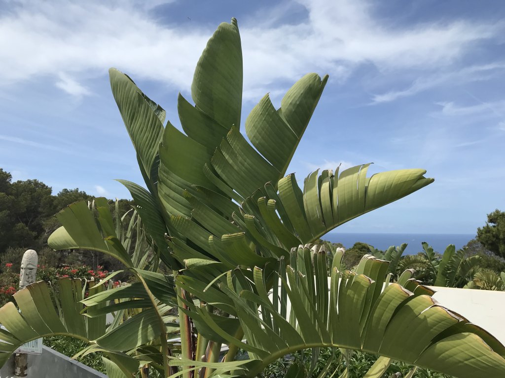 Chalet pareado con exclusivas vistas al mar de la bahía de Palma