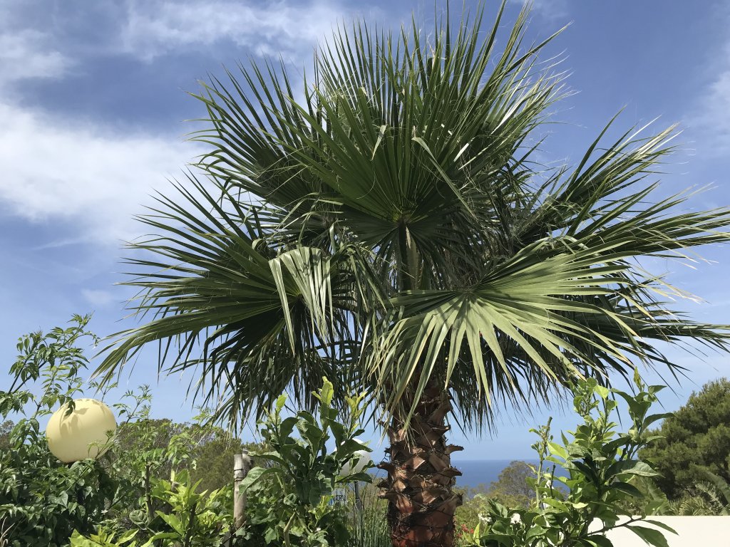 Chalet pareado con exclusivas vistas al mar de la bahía de Palma