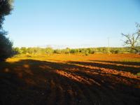 Flat plot with project near Ses Salines - LLombards --- T 07 VK