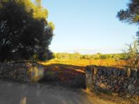 Flat plot with project near Ses Salines - LLombards --- T 07 VK