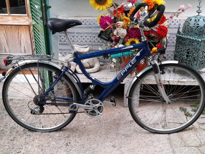 Elegant Aluminum Bicycle 28 Inch