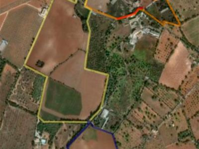 Conjunto de varias parcelas situadas en el término municipal de Llucmajor, en la zona de Son Ramis