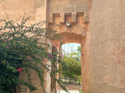 Unique business premises in the east of the island