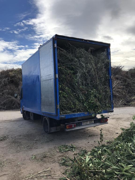 Emptying, dismantling and demolition. Leerung, Räumung und Abbruch.