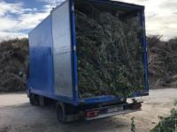 Emptying, dismantling and demolition. Leerung, Räumung und Abbruch.