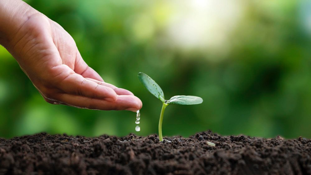 Commercial Quality Technician Mallorca