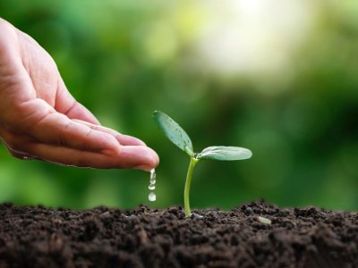 Commercial Quality Technician Mallorca