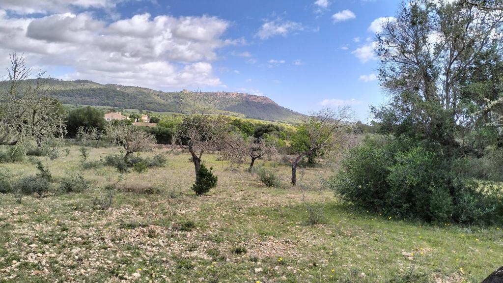 FELANITX: Rural building plot 43,000 m2 with stone wall