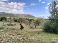 FELANITX: Rural building plot 43,000 m2 with stone wall