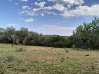 FELANITX: Rural building plot 43,000 m2 with stone wall