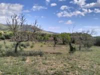 FELANITX: Rural building plot 43,000 m2 with stone wall