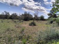 FELANITX: Rural building plot 43,000 m2 with stone wall