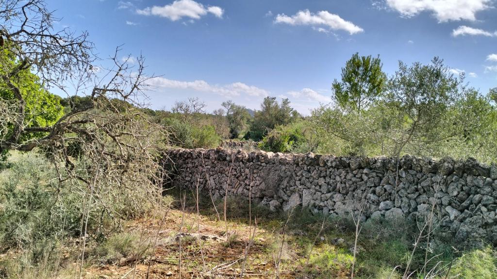 FELANITX: Rural building plot 43,000 m2 with stone wall