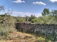 FELANITX: Rural building plot 43,000 m2 with stone wall