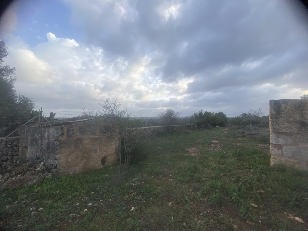 Finca 7600m con generador, en santa margalida