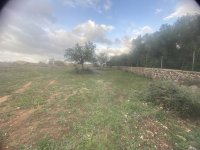 Finca 7600m con generador, en santa margalida