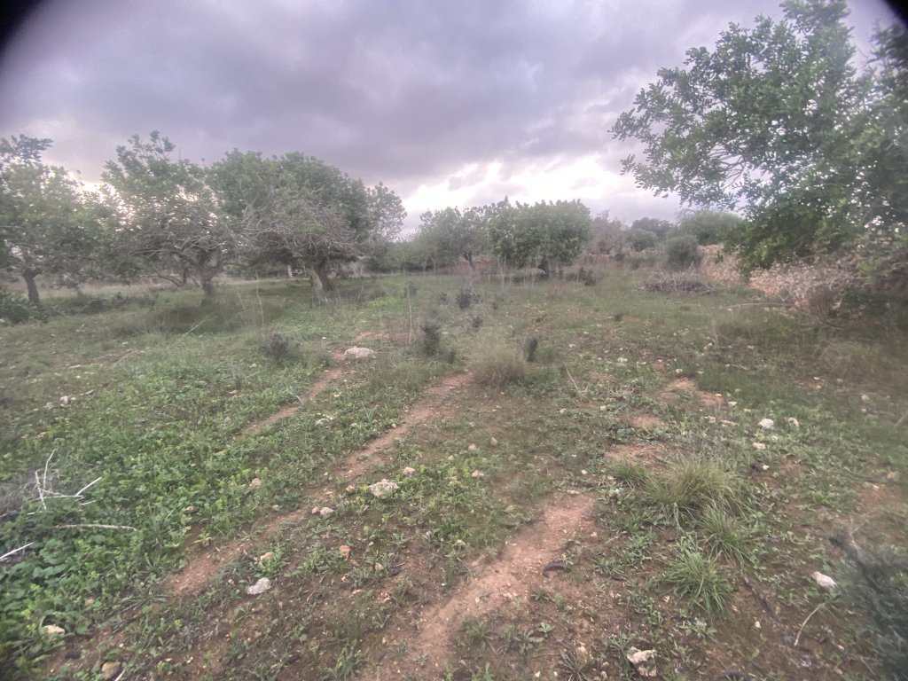 Finca 7600m con generador, en santa margalida