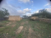 Finca 7600m con generador, en santa margalida