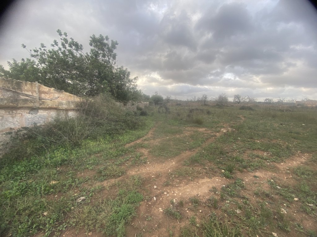 Finca 7600m con generador, en santa margalida