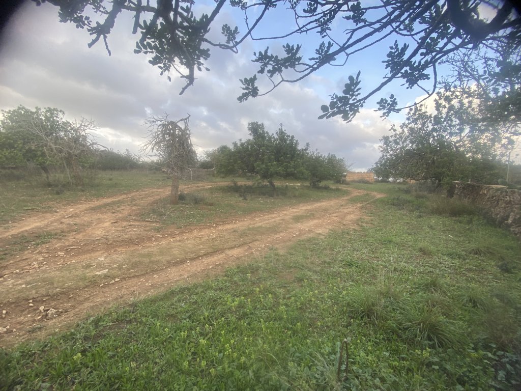 Finca 7600m con generador, en santa margalida