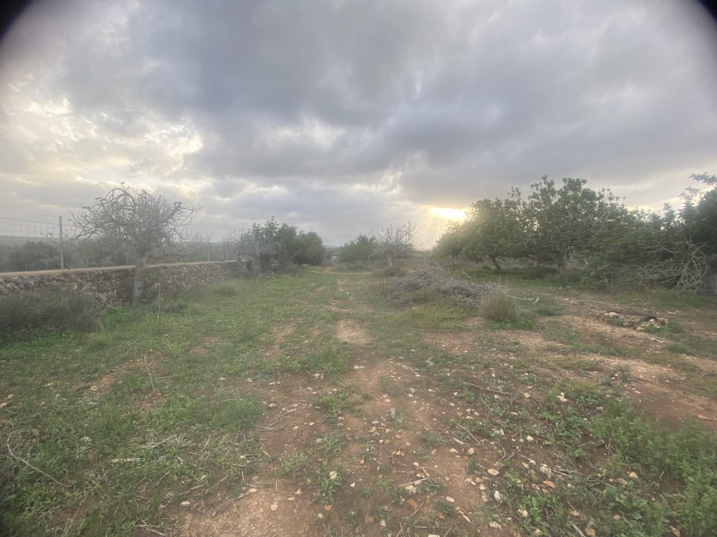 Finca 7600m con generador, en santa margalida