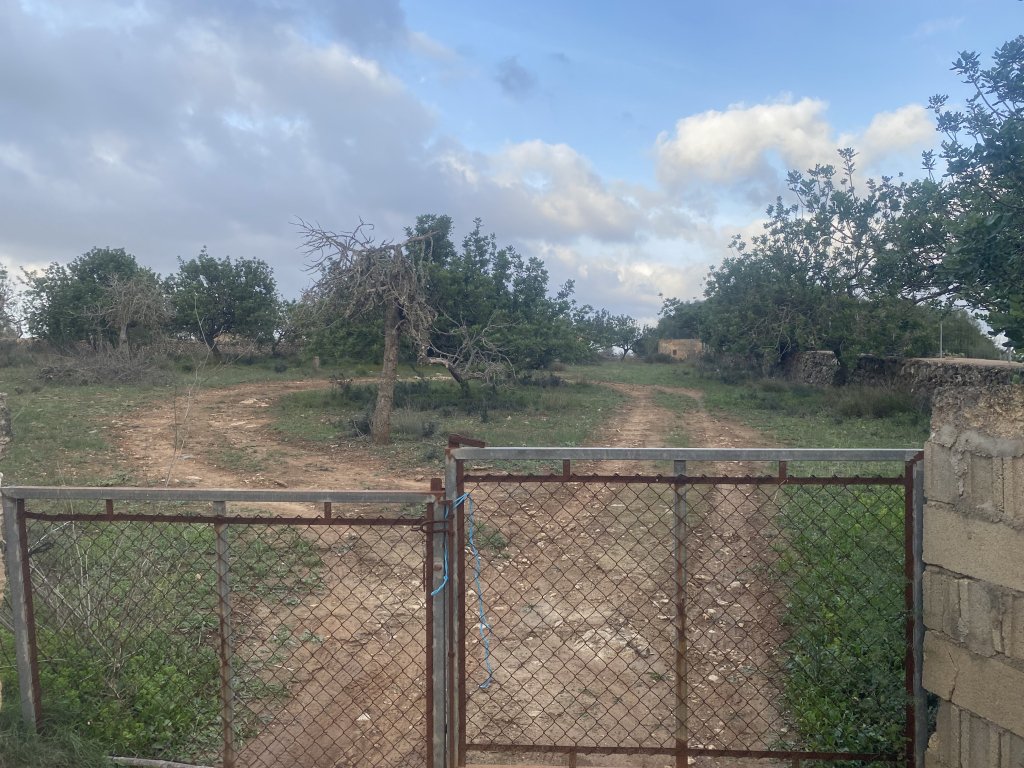 Finca 7600m con generador, en santa margalida