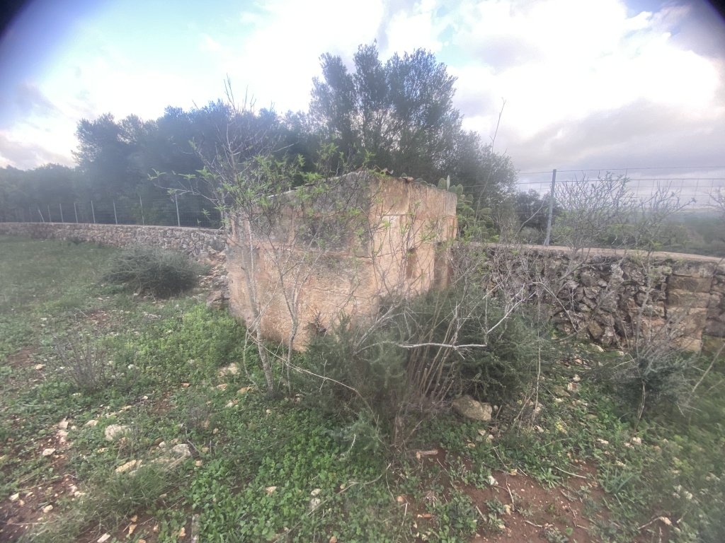Finca 7600m con generador, en santa margalida