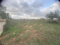 Finca 7600m con generador, en santa margalida